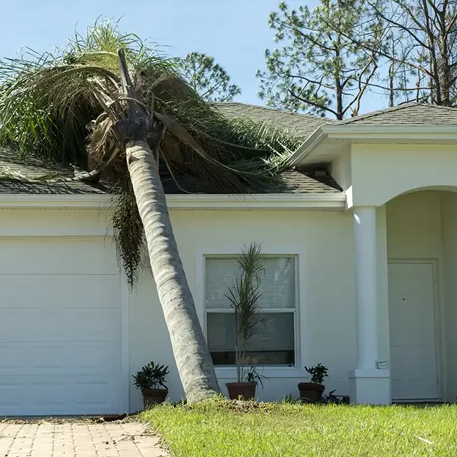 hurricane-damage-house-roof-florida-fallen-down-big-tree-after-tropical-storm-winds-consequences-natural-disaster copy